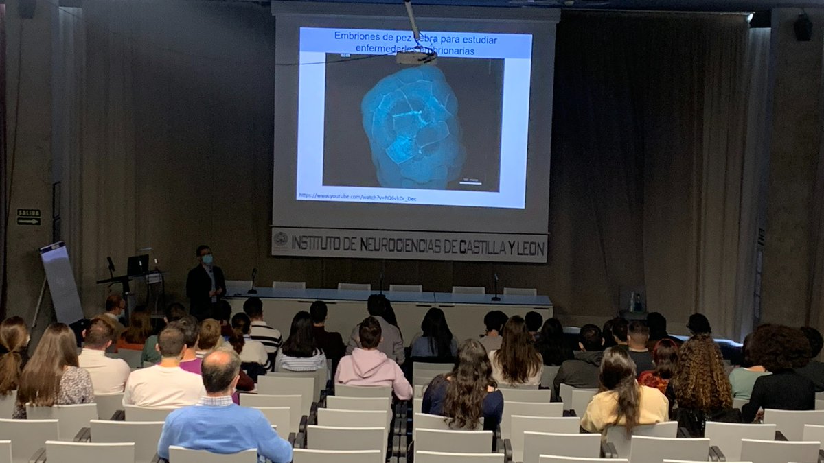 Incyl_Usal's tweet photo. 👏¡Por fin comenzamos con los #SeminariosINCYL!
Ya tenemos a @LordZebrafish con sus #pecescebra. https://t.co/2CYAkFiLcB