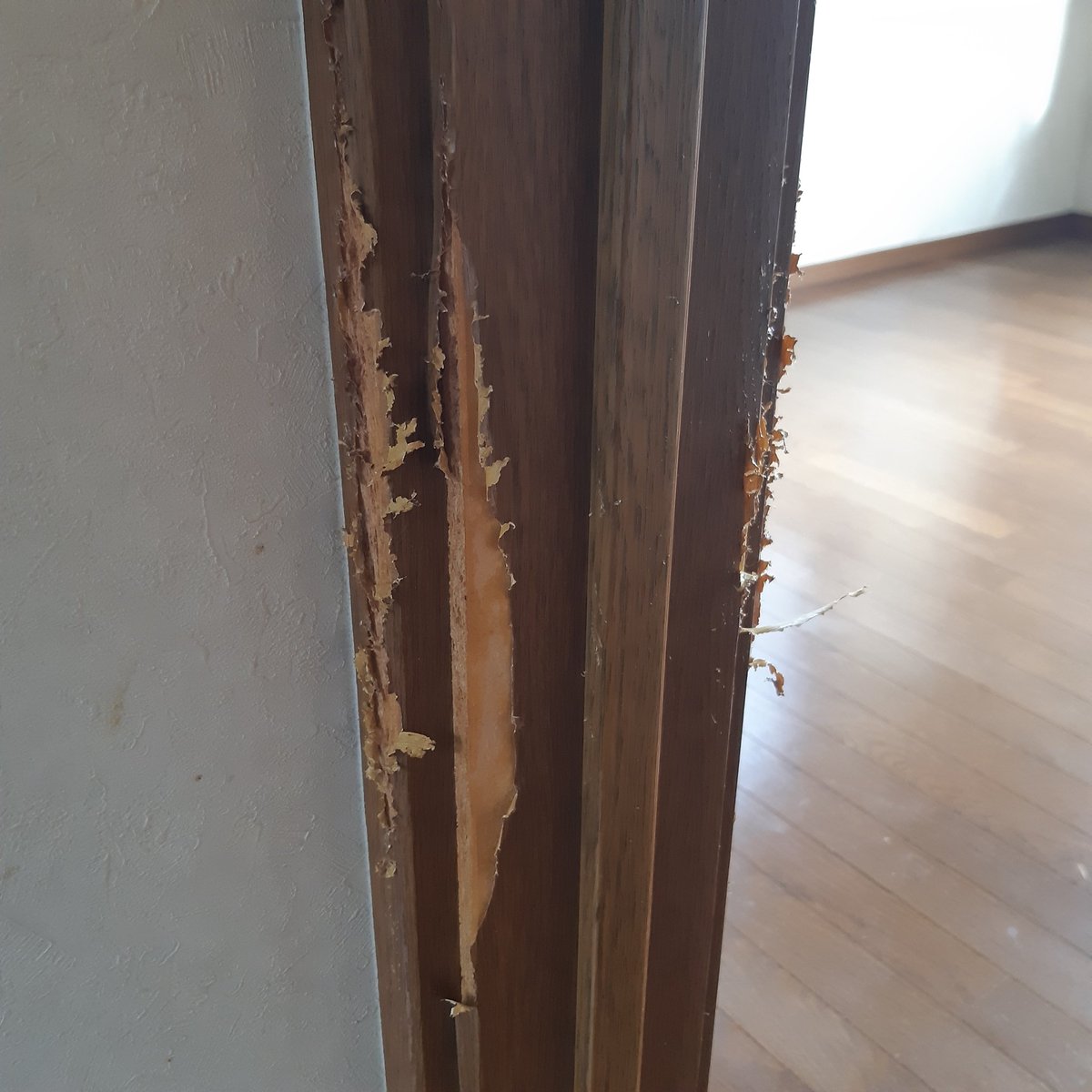 repairtokyo1's tweet image. 猫引っ掻きキズリペア😆