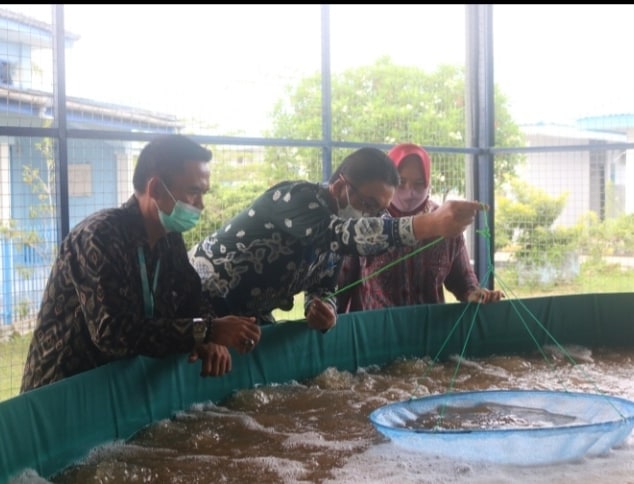 bppsdm_bp3medan's tweet photo. Kunjungan Plt. Kepala BRSDM KP Bapak Kusdiantoro beserta Rombongan ke BPPP Medan. Kunjungan tersebut dalam rangka Peresmian Ruang Display "Jabu Dekke" dan peninjauan sarana dan prasarana di BPPP Medan.

#MenteriKelautanPerikanan
#MenteriTrenggono
#SaktiWahyuTrenggono
#MenteriKKP https://t.co/DcprVqs94t