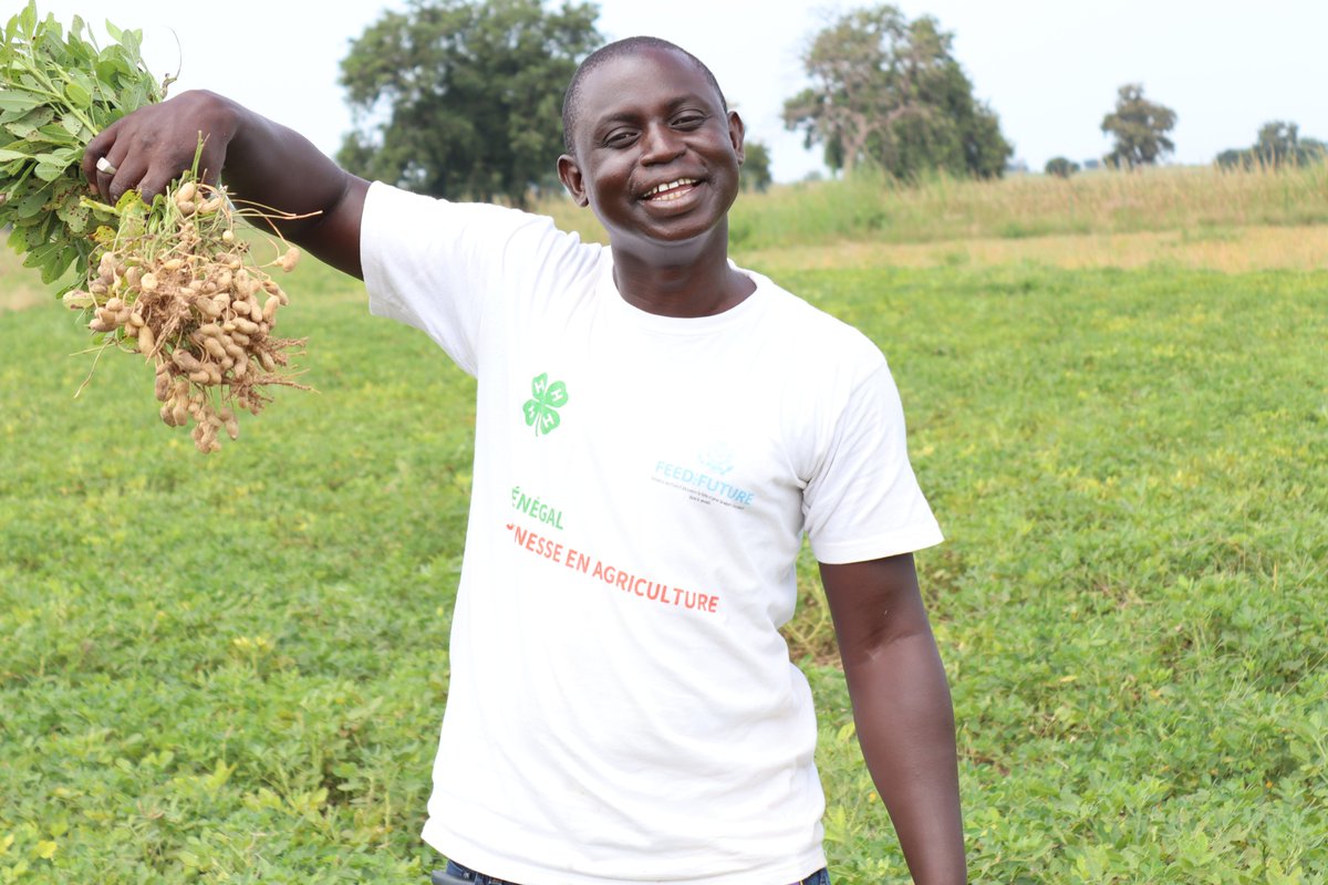 JeunesseEnAg's tweet image. Nous rendons hommage à @taphambow , Manager Général des Greniers du Saloum dans la zone de Keur Madiabel. Il pratique des activités comme le maraîchage et collabore avec les EFPT de la région pour améliorer la qualité de la formation et créer des opportunités de stage et d'emploi