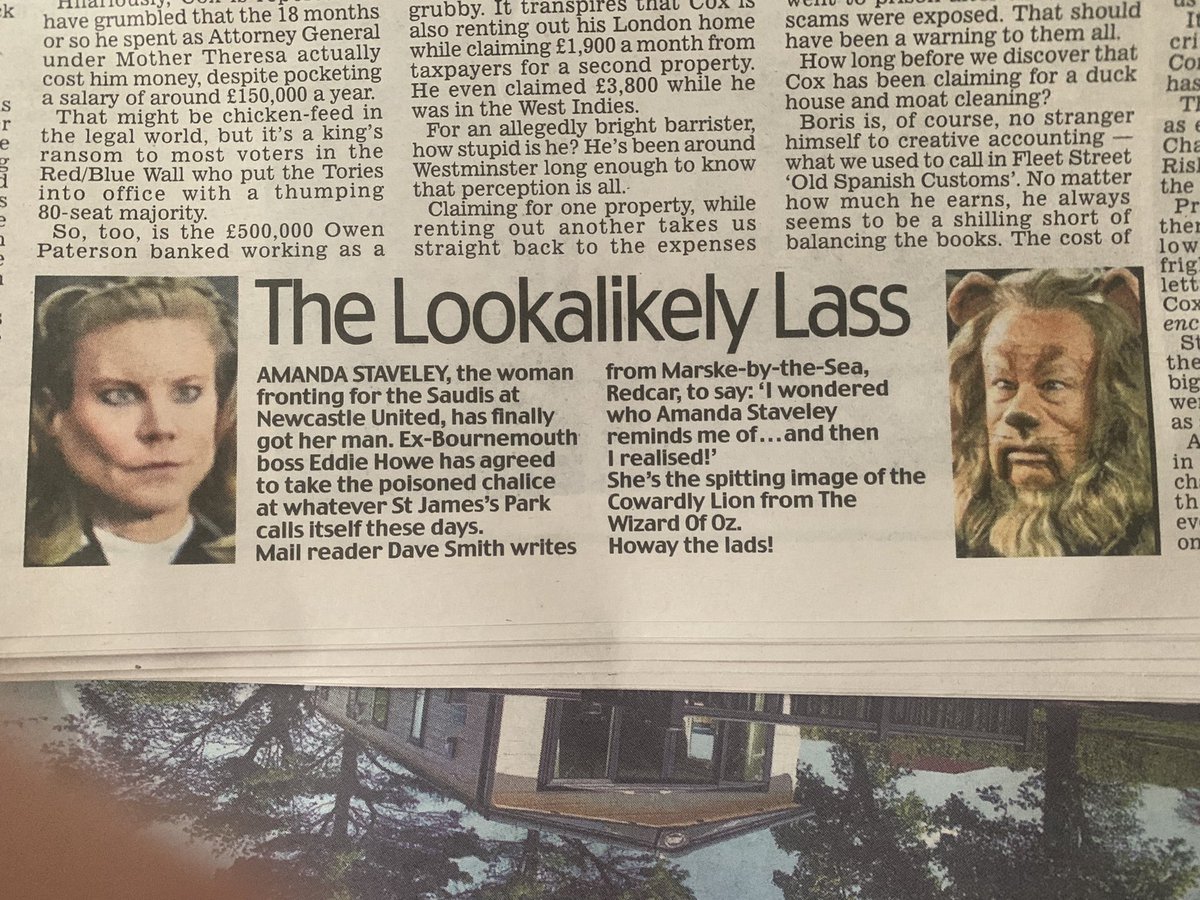 ToonPolls's tweet photo. Aye aye @MailOnline, “Dave Smith”. That bloke who definitely exists and definitely wrote in to you just to say Amanda Staveley looks like a character from the Wizard of Oz. 

Imagine getting a degree in Journalism and then writing that. Embarrassing. #NUFC https://t.co/XbnC1F2mLn