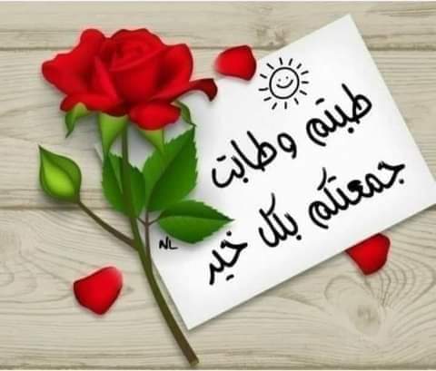 💫خالد بن الوليد💫 tweet media