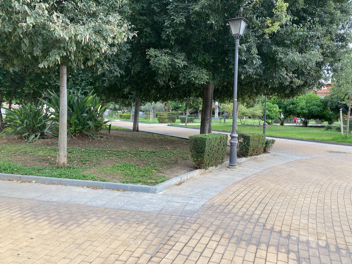 SevillanosYa's tweet photo. #LegadoEspadas , la peor gestión verde que se recuerda.
Nunca se repusieron los setos del #ParquePerdigones.
#SevillaCivica #PLAGA7SEVILLA. #PatrimonioVerdeSevilla https://t.co/ePYH23tbvT