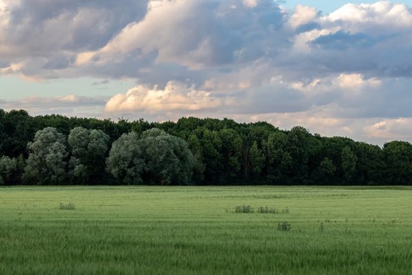 ScotEnsemble's tweet photo. Let our Staff Picks Playlist with hopes for a sustainable future accompany your weekend listening!
What other tracks remind you off our natural surroundings?
#ClassicalCop26
#HopesForTheFuture
#ScottishClassicalSustainabilityGroup
https://t.co/IC54J49Pdk https://t.co/Cq4zCepgEI