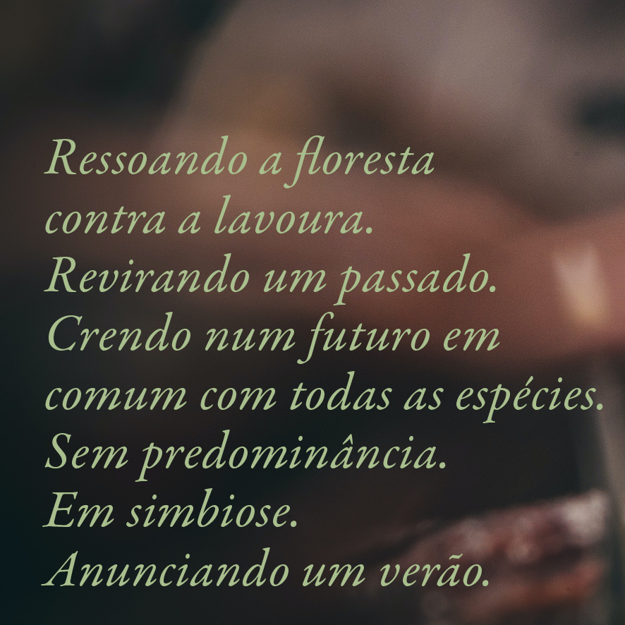 n_1edicoes's tweet photo. 23ª festa do Livro da USP de 8 a 15 de novembro . Descontos de 50 a 60%
#miceliar #hifar #devirfúngico #serverão
Ressoando a floresta contra a lavoura. Revirando um passado. Crendo num futuro em comum com todas as espécies. Sem predominância. Em simbiose. (...)
_
n-1 https://t.co/0QtHMGTZ94