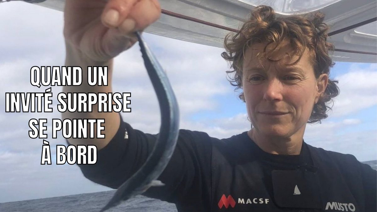 [A BORD] Quand un invité surprise se pointe à bord de l'#IMOCA MACSF, Isa l'accueille ! Mais selon vous, de quoi s'agit-il ?
#TransatJacquesVabre #RouteDuCafé #AllezIsa #GoFabien