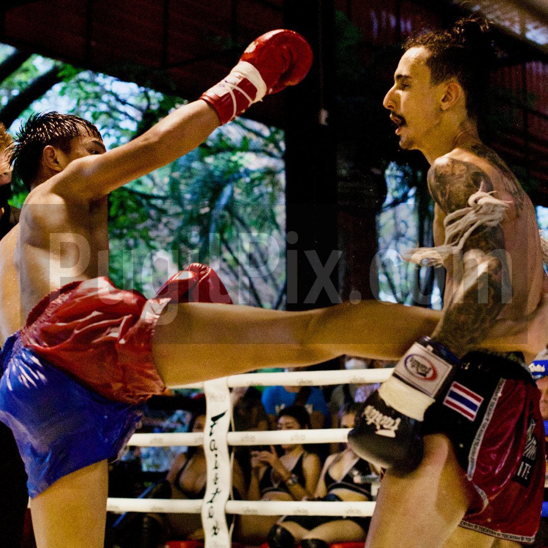 FullMetalDojo's tweet photo. Full Metal Muay Thai - Fight 2
Yodsiam Petchrambo 🇹🇭 Vs Ayoub Elamghari 🇲🇦
Ayoub Elamghari def. Yodsiam Petchrambo by split decision.
Full Metal Muay Thai (Patreon Edition) is premiering soon on Patreon - https://t.co/qRhb8pgKZq
#Fight2 #FMMT #FullMetalMuayThai #FullMetalTV https://t.co/T3Od9y9RLY