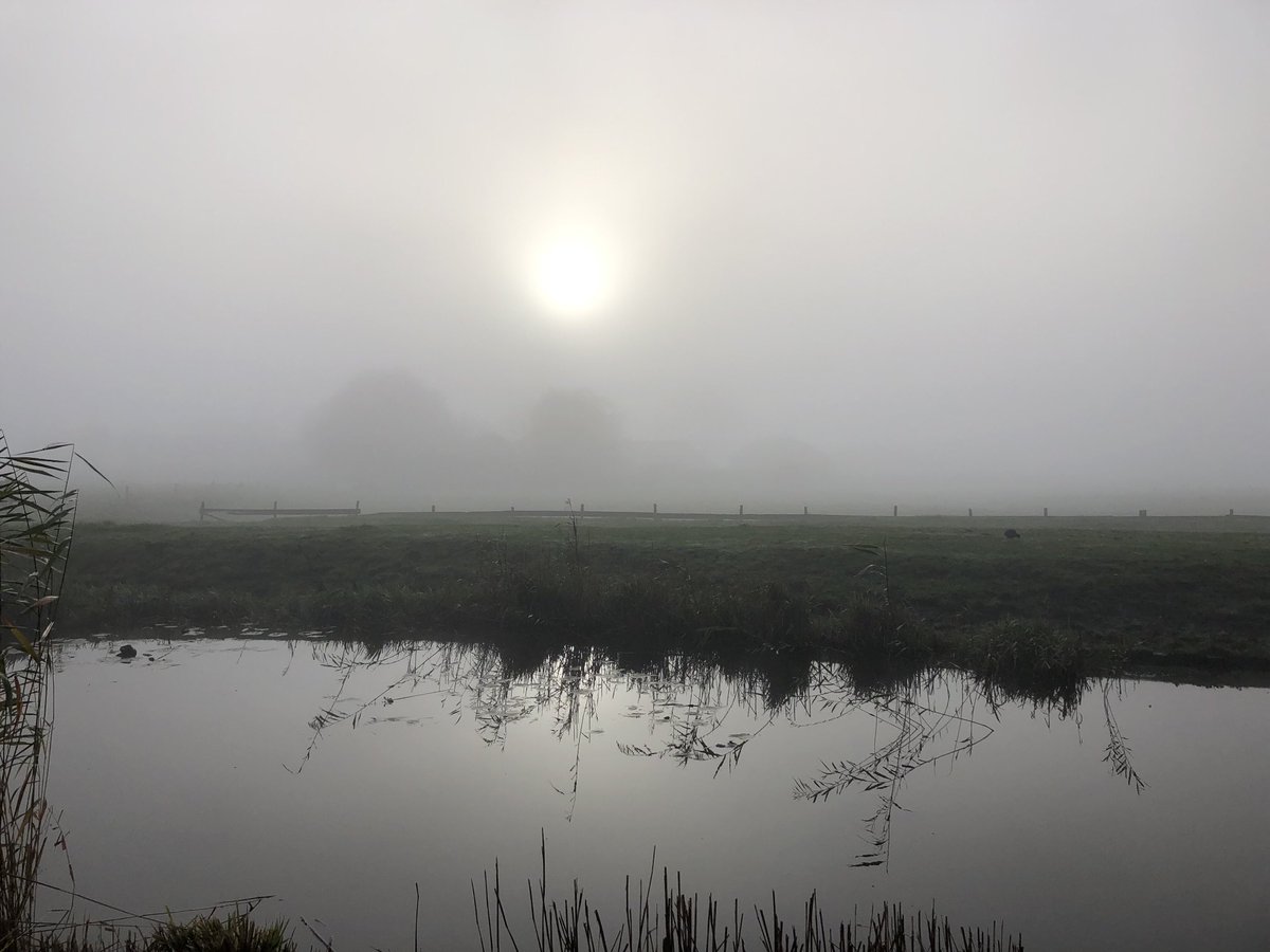 Jaap Schoeman tweet media