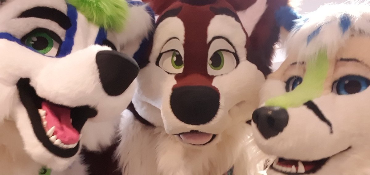 Whaler81Ace's tweet photo. Found cuties!! At #fluuff #flüüff2021
@Quba29958367 @Tiwoof  Julian and more!! Happy foxxo https://t.co/2C6Z782KQ8
