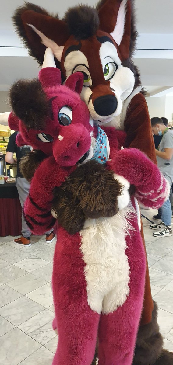 Whaler81Ace's tweet photo. Found cuties!! At #fluuff #flüüff2021
@Quba29958367 @Tiwoof  Julian and more!! Happy foxxo https://t.co/2C6Z782KQ8
