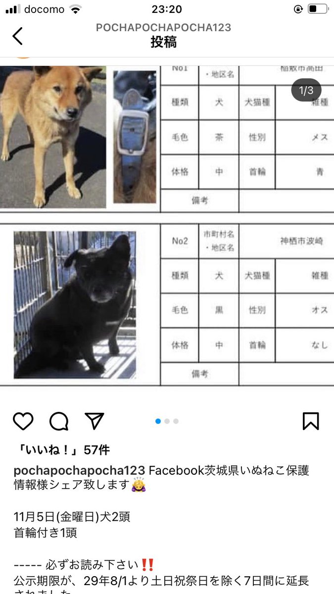 こんちゃん大好き S Tweet 茨城県です 11月5日 金 犬2頭 首輪付き1頭 公示期間内に飼い主さんに繋がりますようご尽力お願いいたします 里親希望の方は を参考にしてください 迷子犬 保護犬 里親募集 里親 ボランティア 拡散希望 茨城県 殺処分反対