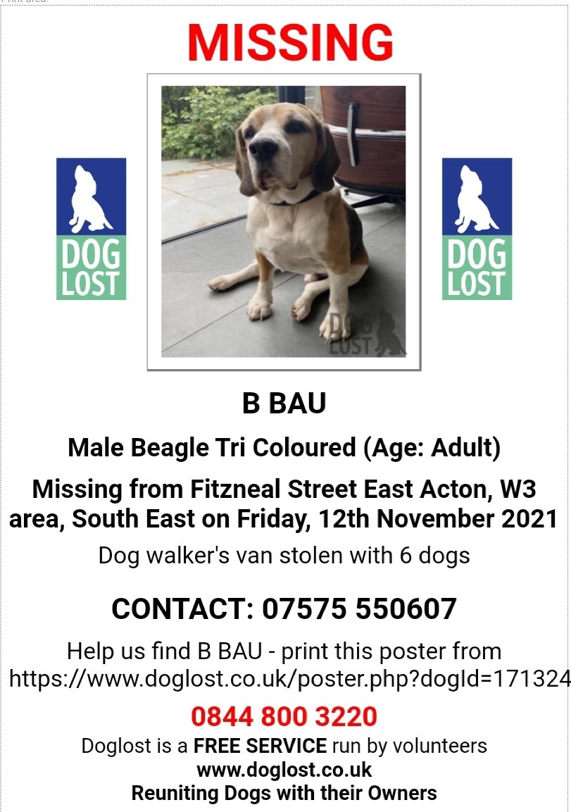 MissingPetsGB's tweet image. 4 dogs so far listed -- #stolen from the dogwalkers van

(using #ealing6 for all posts)