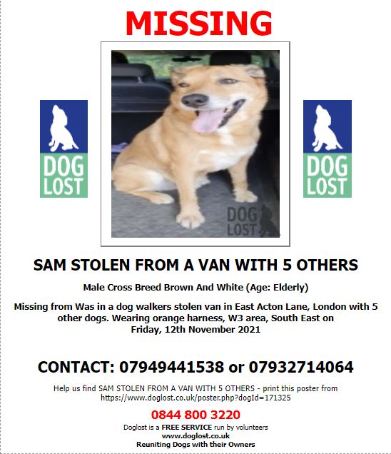MissingPetsGB's tweet image. 4 dogs so far listed -- #stolen from the dogwalkers van

(using #ealing6 for all posts)
