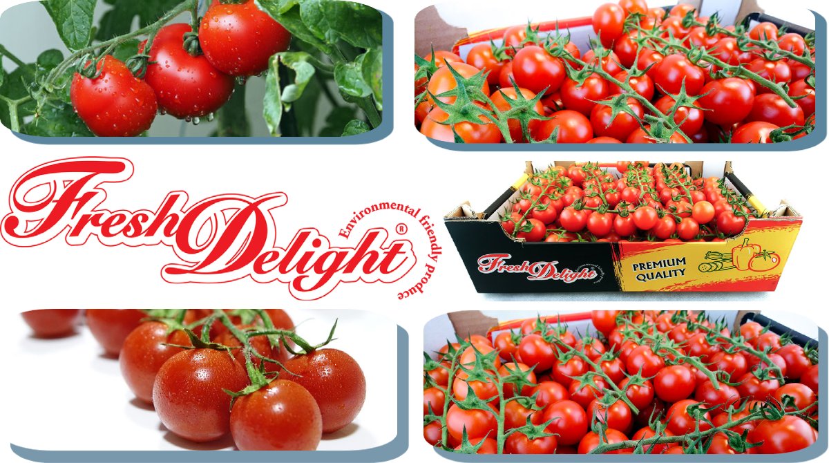 NationwidePlc's tweet photo. You say tomato, we say #FreshDelight tomato
Our cherry vine tomatoes are super bright, super fresh, super tasty and super juicy, they're just super all round

☎️ 01386 424800
✉️ sales@nationwideproduce.com
#freshproduce #fruit #vegetables #tomato #healthyeating #vegan #vegetarian https://t.co/OnNJUy59xE
