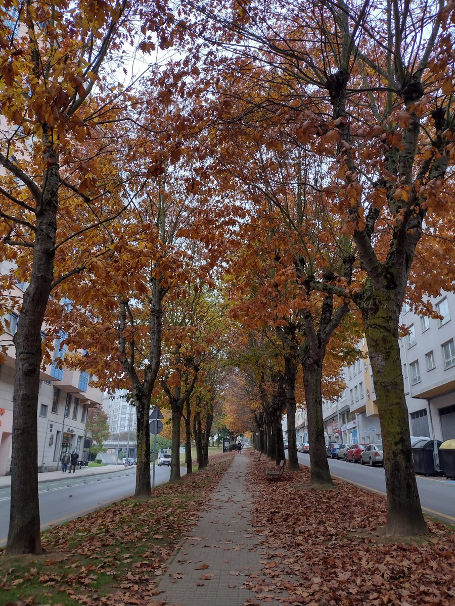 castro_tonio's tweet photo. #Outono en #Lugo #SinFriltro https://t.co/9RPAsAKj0p
