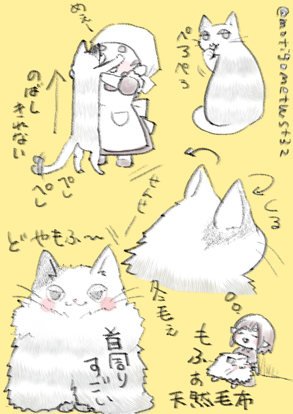 🐈‍⬛ 