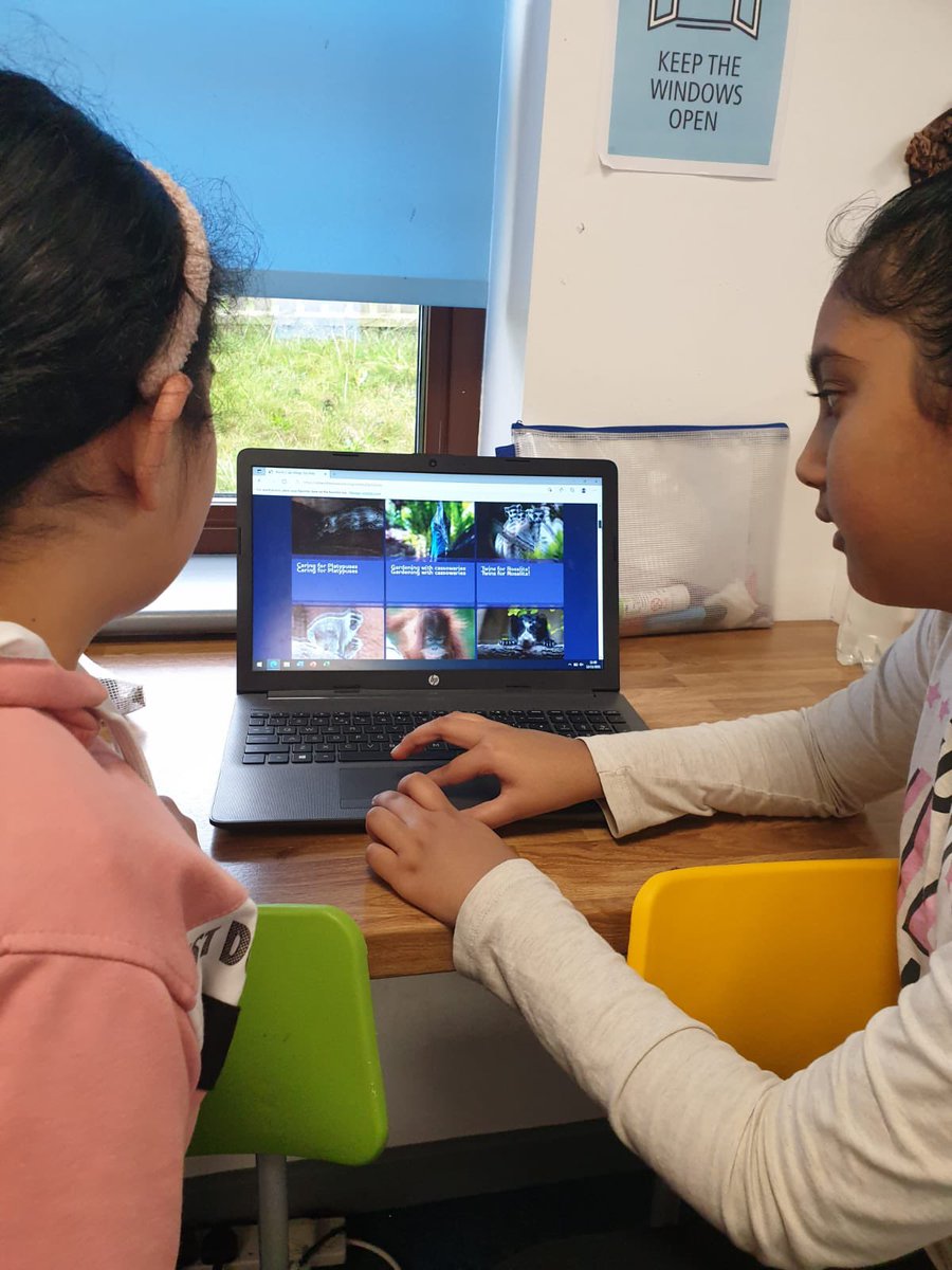 Rowlatts_TMET's tweet photo. Year 6 are enjoying exploring websites to conclude what makes good website ๐ #rmcomputing #exploring #curiosity https://t.co/Eo0hC6JhCn