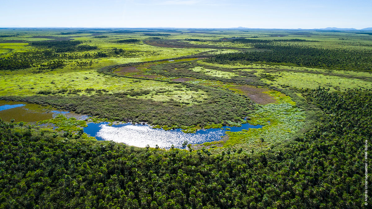 Ariel view of the Pantanal
