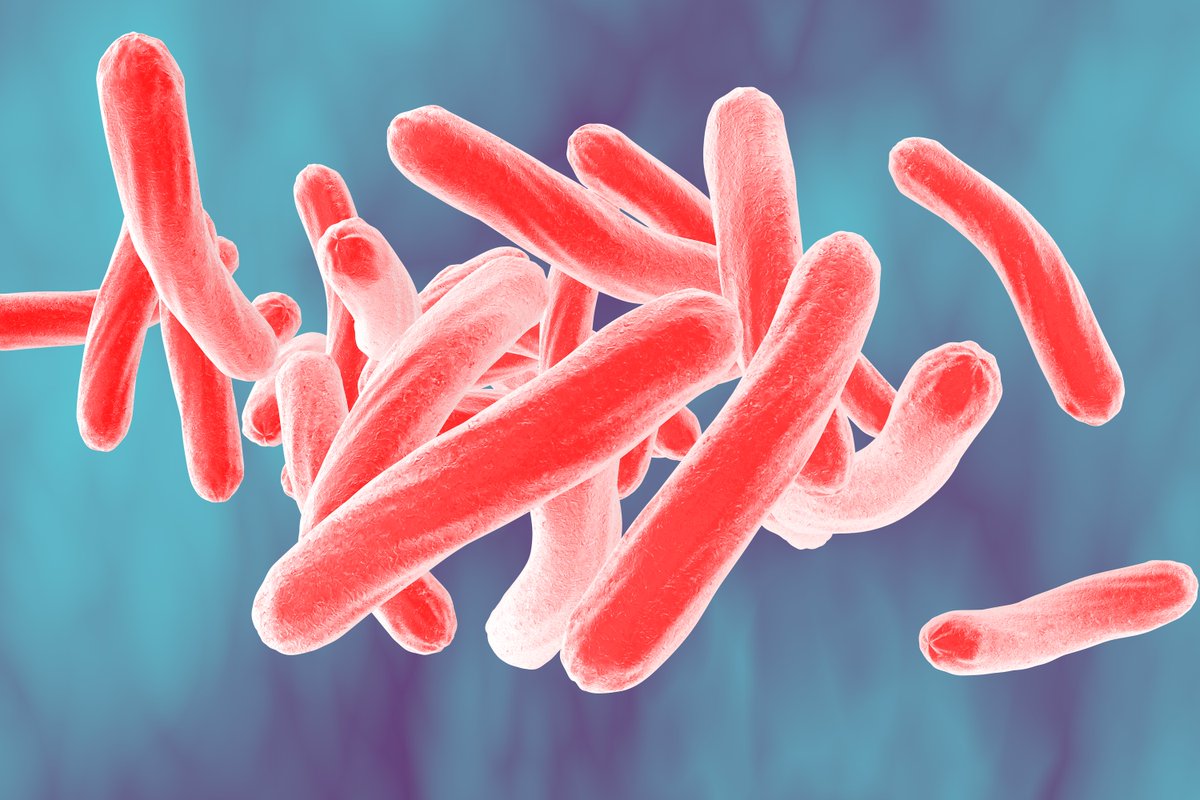 BioPharmaResea2's tweet photo. #Mtuberculosis phylogeny to a human mitochondrial genome phylogeny &amp; interpreted these as being highly similar. Based on this, the study suggested that M. tuberculosis, like humans, evolved in Africa &amp; subsequently spread anatomically modern humans out of Africa across the world. https://t.co/OqerMyxEma