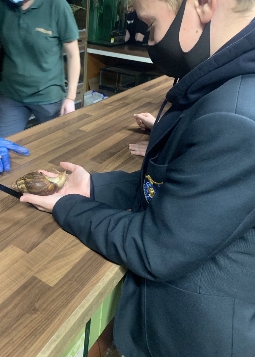 AirdrieAcademySocSub tweet media