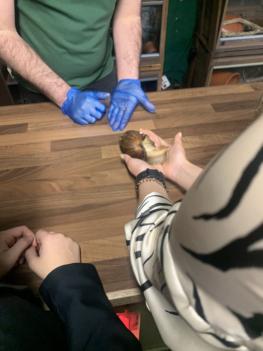 AirdrieAcademySocSub tweet media