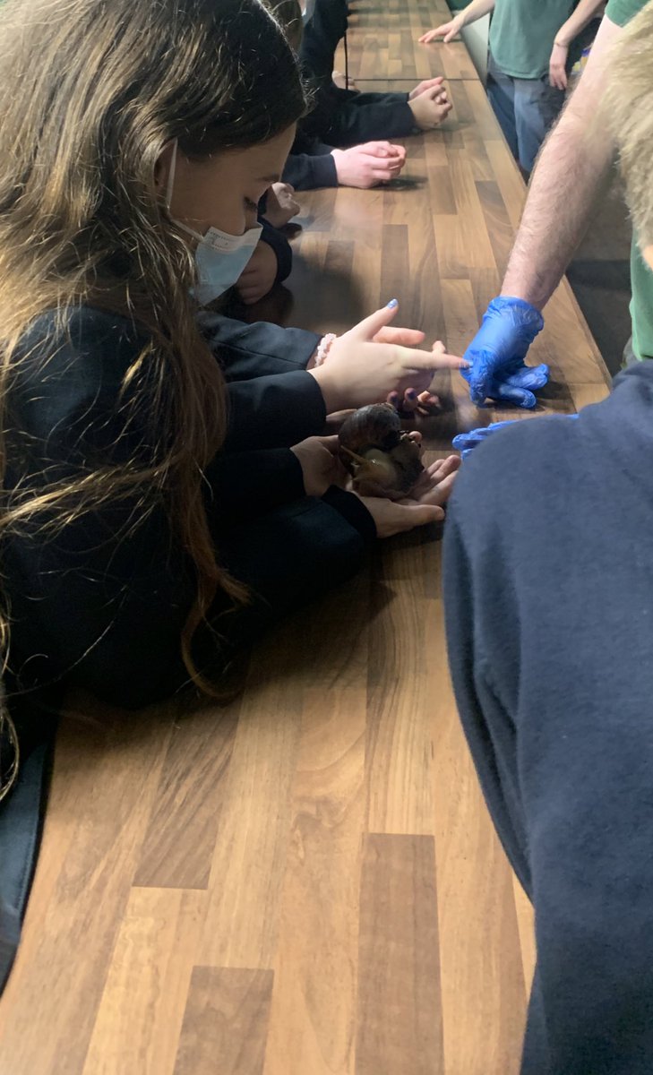 AirdrieAcademySocSub tweet media