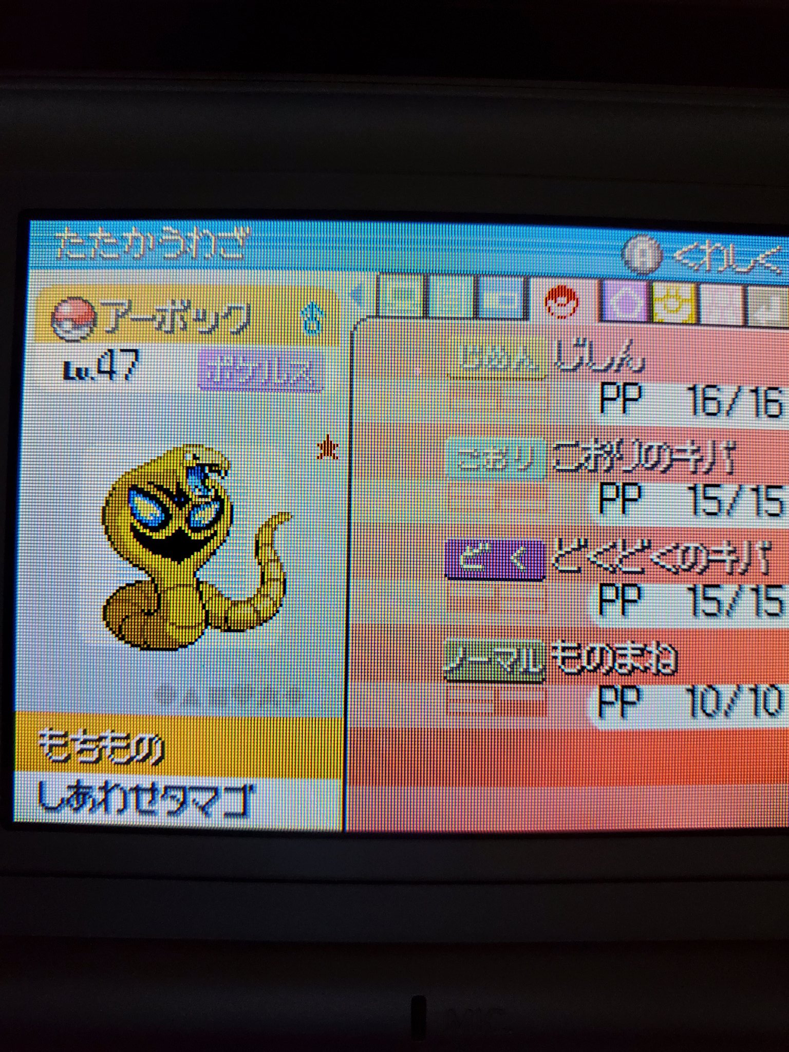 あかかめ Qersdkmqad1w9dt Twitter