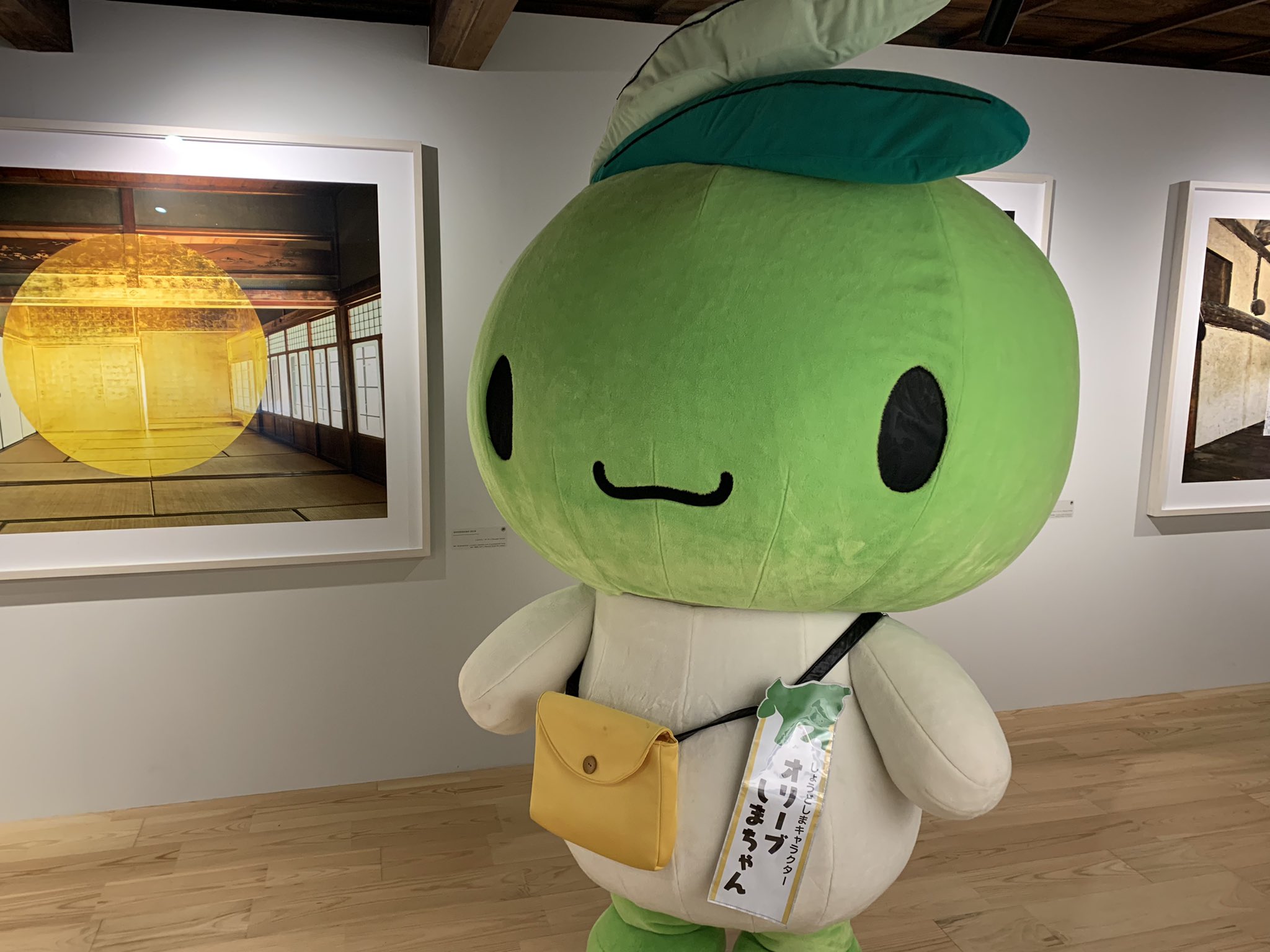 オリーブしまちゃん 香川県 小豆島 Olive Shimachan Twitter