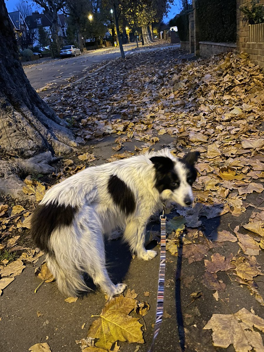 Rory Cellan-Jones tweet media