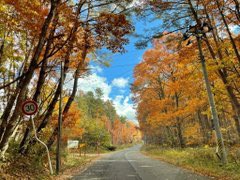 unicorn04221's tweet photo. 🍁 https://t.co/KJEi9PlRxZ