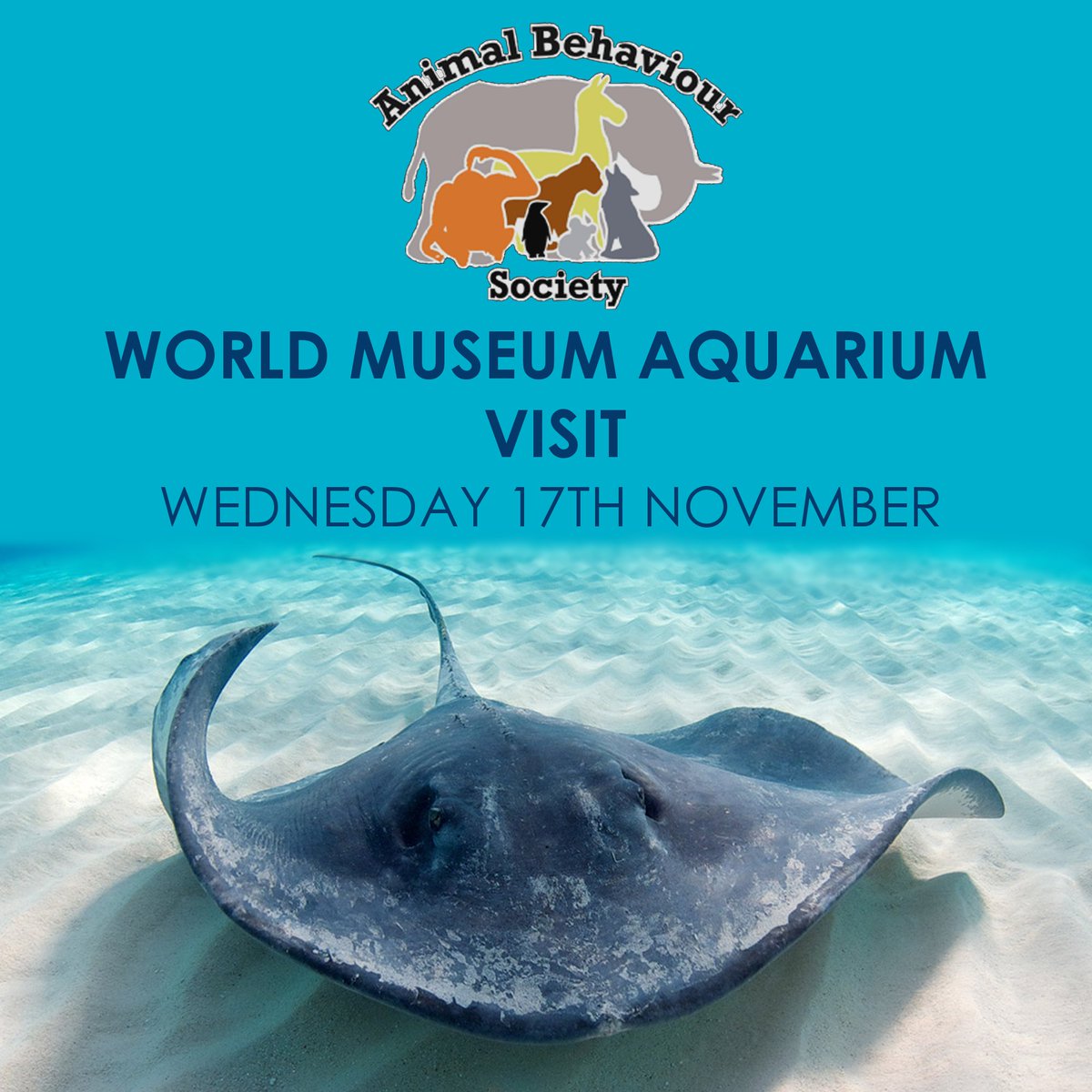 We hope you've had a relaxing reading week and are ready for the FINtastic social we have lined up for Wednesday. Join us on a visit to the World Museum Aquarium! We promise it'll be a senSEAtional dive into the lives of aquatic critters, including their new octopus, Polpo! 🐙