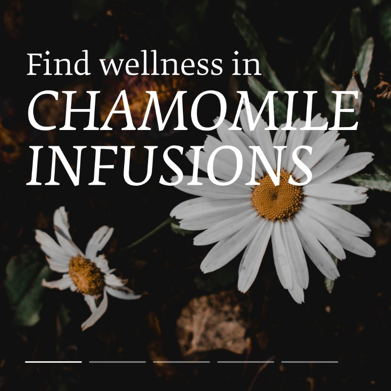 naturexgroup's tweet photo. Embark on a botanical journey with Givaudan. Discover all the benefits of chamomile infusion: https://t.co/ySuTXLjJbv

#WellnessEssentials #GivaudanFoodExperiences