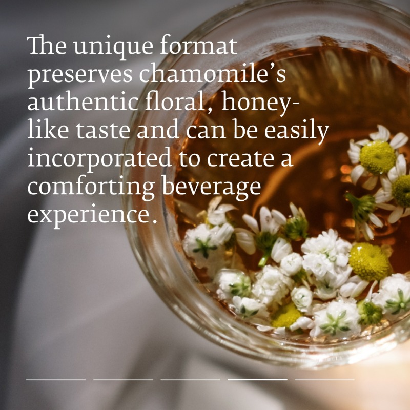 naturexgroup's tweet photo. Embark on a botanical journey with Givaudan. Discover all the benefits of chamomile infusion: https://t.co/ySuTXLjJbv

#WellnessEssentials #GivaudanFoodExperiences