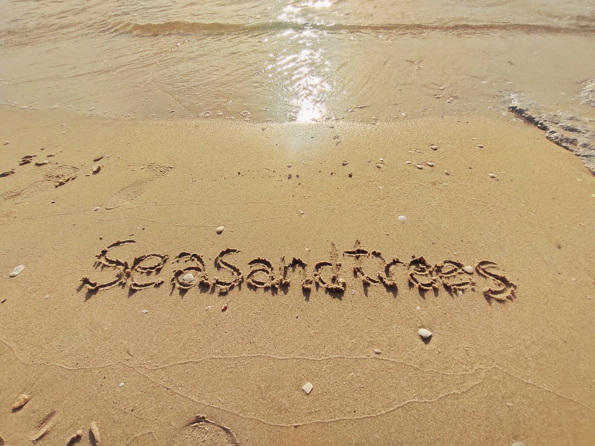 SeasandtreesB's tweet photo. มาดูทะเลที่ห้องเราไหม? #บางแสนน้ำใส #seasandtrees https://t.co/4RtbpDa27J