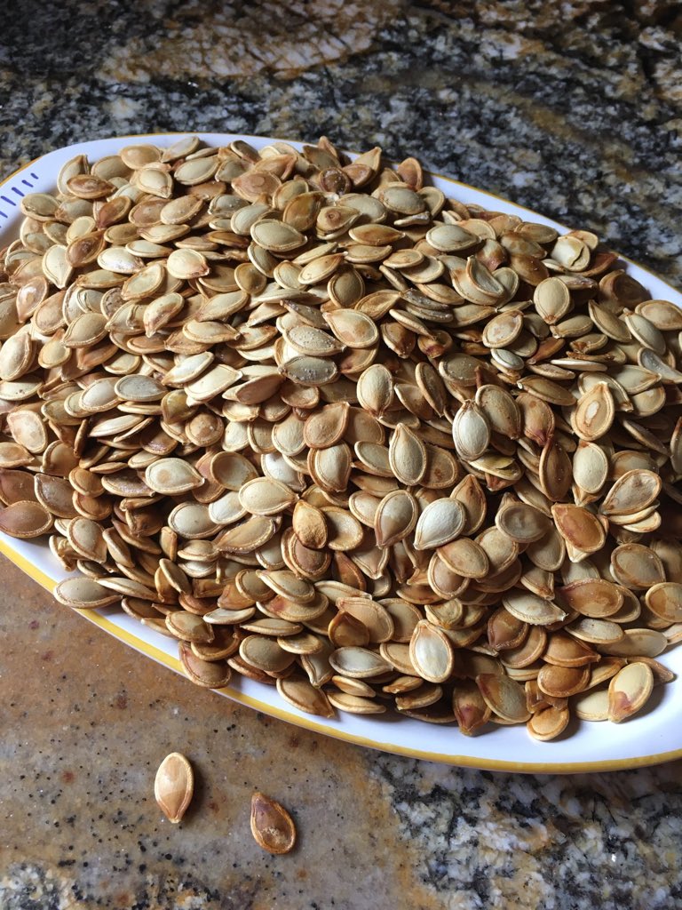 LauraClassical's tweet image. Good morning my Tweethearts! Yesterday was a loooong day of steaming 4 sugar pumpkins for my annual T’giving pie 🥧 marathon. Side benefit? We get a year’s worth of seed snacks (clean, roast, salt—easy peasy)!Want you to have an easy-peasy morning: join us @CRBClassical🎶