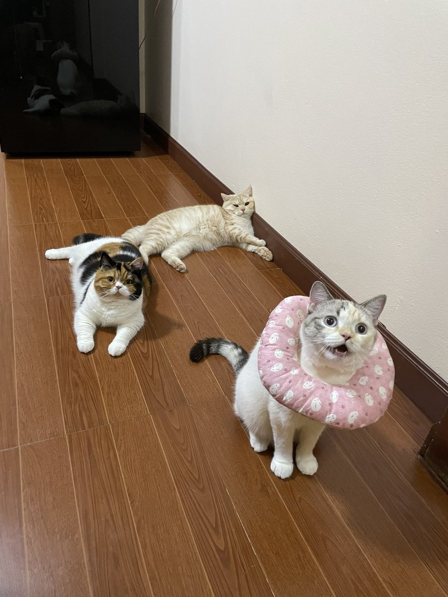 ผู้หญิง เด็ก คนแก่