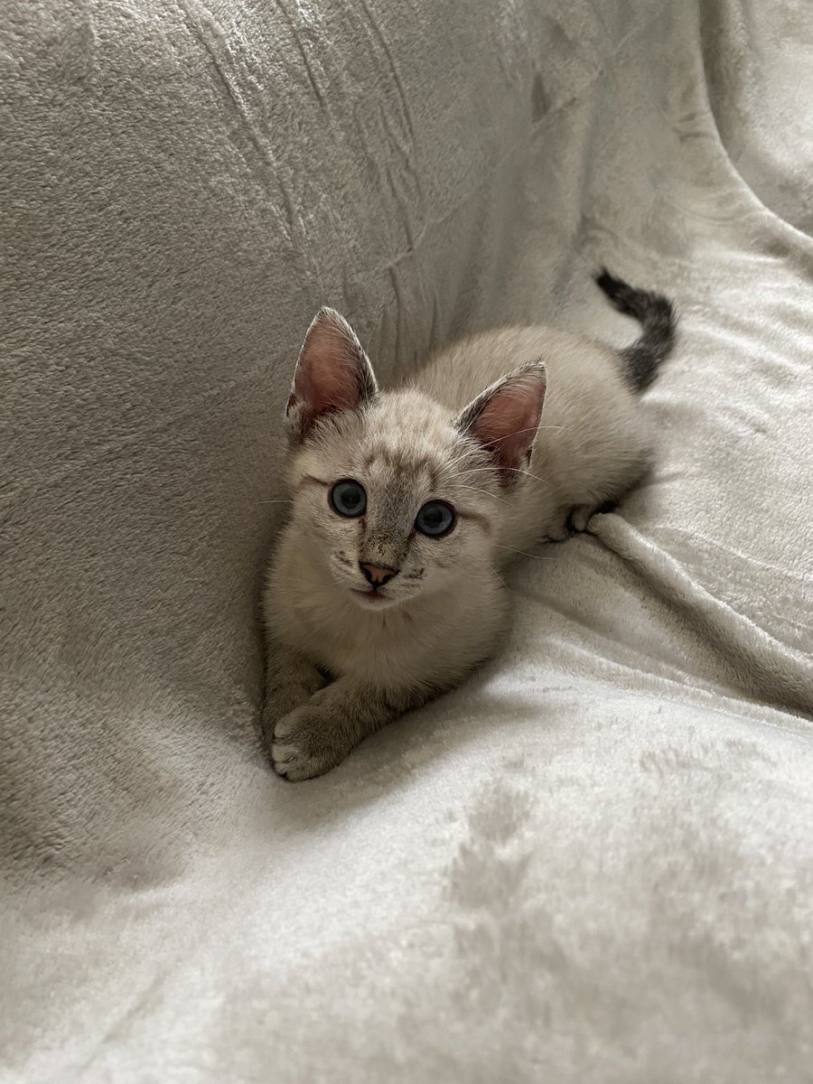 smileofhxmmings's tweet photo. 4 mois entre ces deux photos 🥲 https://t.co/Zv9qg8uuh7