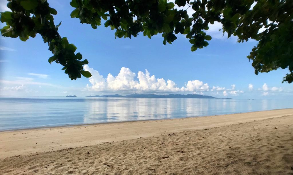 Health__Oasis's tweet photo. We're happy to share we are in the process of preparing the resort to receive guests once again &amp; we would love to welcome you all back. We will send out an email &amp; sharing more info within the next week with all the details &amp; the exact dates we are able to accept bookings. https://t.co/rZYjfqjWzj