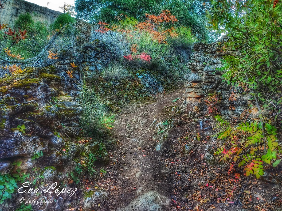 EvaM_Lopez's tweet photo. #LosZumaques
#AlcaláLaReal #Jaén #Andalucía #ruta #sendero #vereda #camino #zumaques #otoño🍁 #Noviembre #paisaje #landscape #campo #senderismo #naturaleza https://t.co/A6YgD5Nh0A