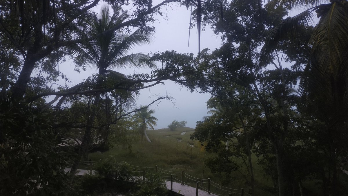antongrasss's tweet photo. #GallitoMañanero
@elAleGuarrero @thesmallestboy @airelibre_fm @KevinkeeganIII 
#keviernes
#620am
amaneció nublado papacchos
parece que se prendieron mil gallos en la laguna 😋 https://t.co/qBh0KHzkN2