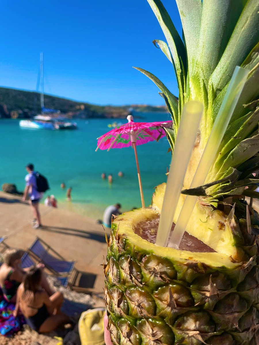 Iolo Williams tweet media