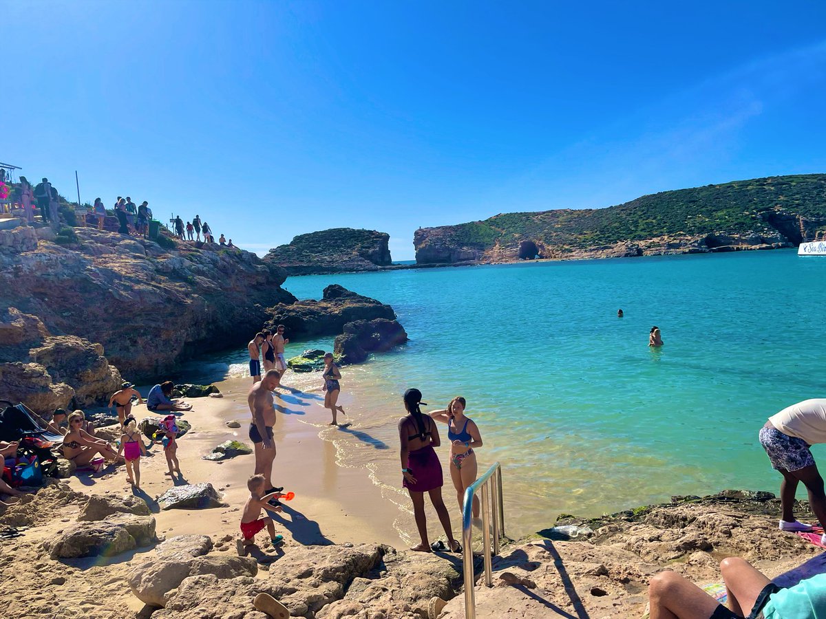 Iolo Williams tweet media