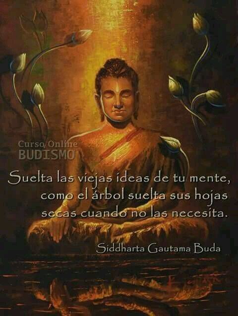 estudiante_5's tweet photo. https://t.co/MUZ6JmKhJt
