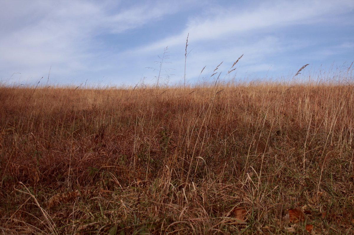 Celebrating the 25th preservation anniversary of the Nasseri Givechi prairie in Douglas County. #kansaslandtrust