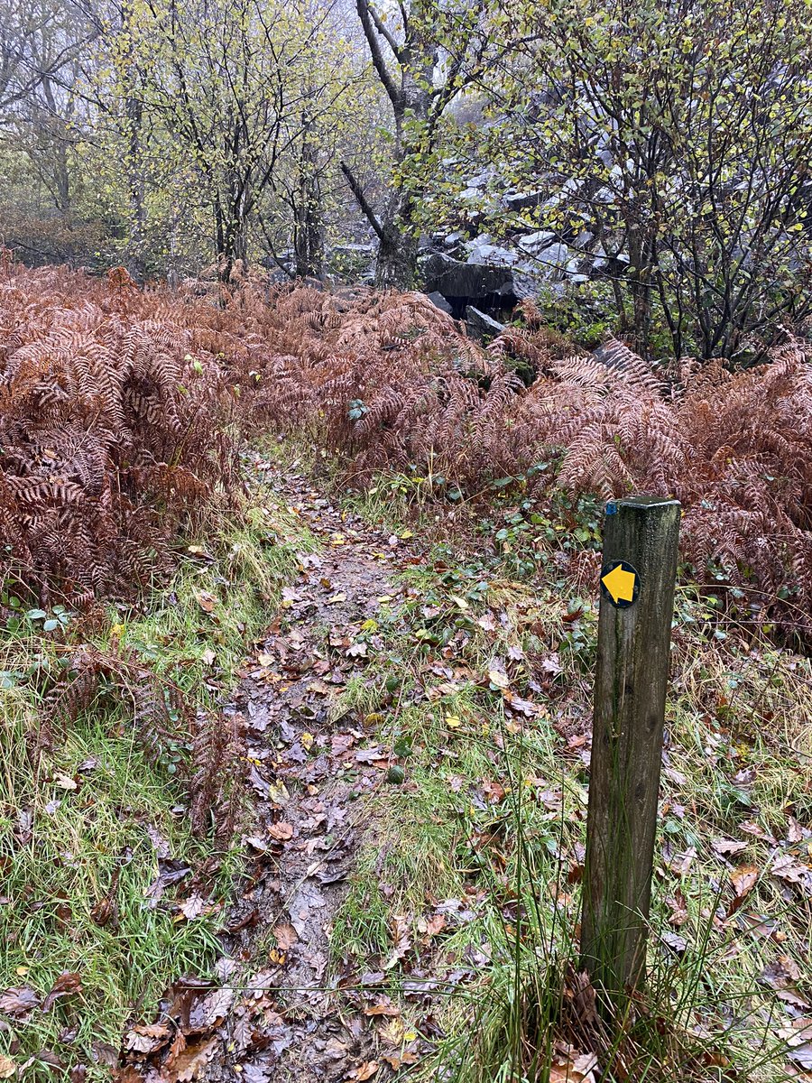 36clare's tweet photo. Another wet walk! So peaceful though back on my winter routes ☺️ #brathayquarry #duckhill #outgate #roundtheblock https://t.co/gNerf432hB