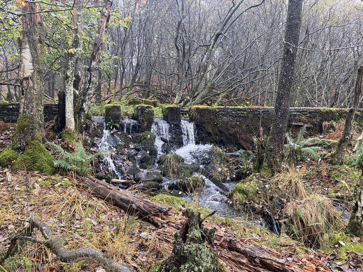 36clare's tweet photo. Another wet walk! So peaceful though back on my winter routes ☺️ #brathayquarry #duckhill #outgate #roundtheblock https://t.co/gNerf432hB