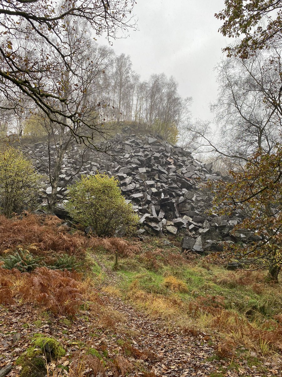 36clare's tweet photo. Another wet walk! So peaceful though back on my winter routes ☺️ #brathayquarry #duckhill #outgate #roundtheblock https://t.co/gNerf432hB