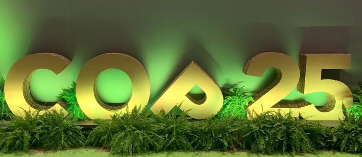 COP25 sign damaged