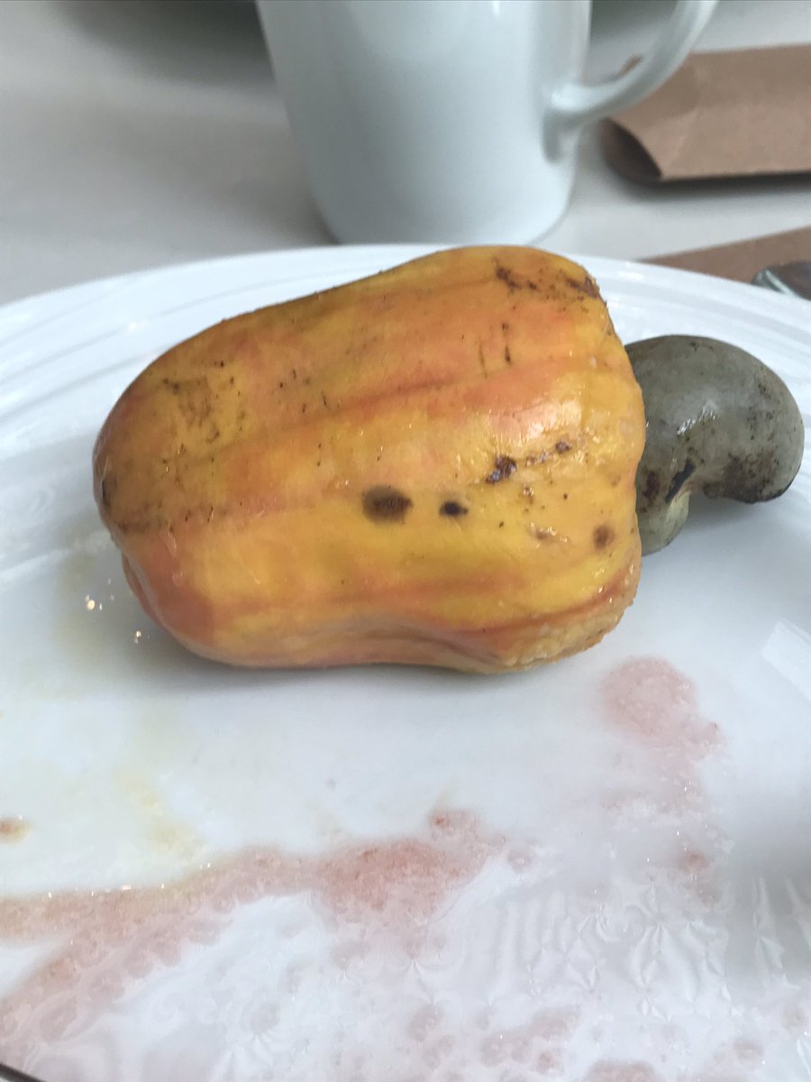 Gabriela Montero tweet media