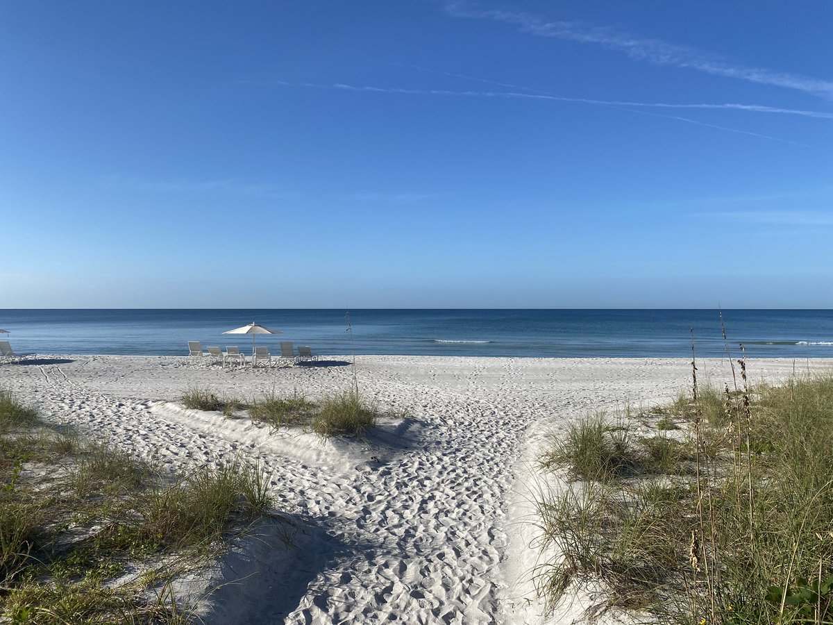 koicoach's tweet photo. Combined work and walking here this week ✨

What is your most creative work space? Share below ⬇️🌊

#easeandflow #koicoach #mindful #empowered #growth https://t.co/jffln9IcW6
